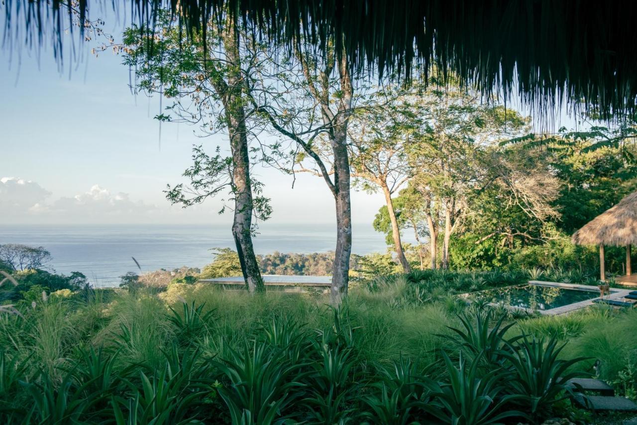 Thea Resort & Retreats - Santa Teresa Playa Santa Teresa  외부 사진