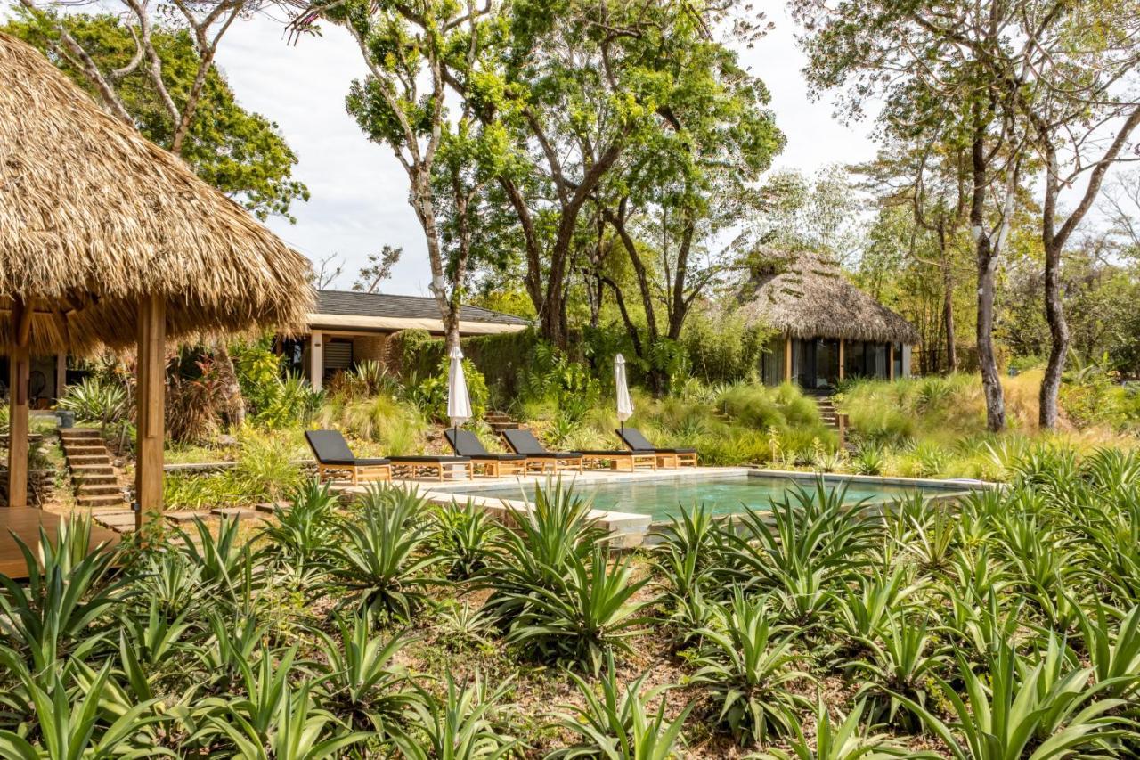 Thea Resort & Retreats - Santa Teresa Playa Santa Teresa  외부 사진